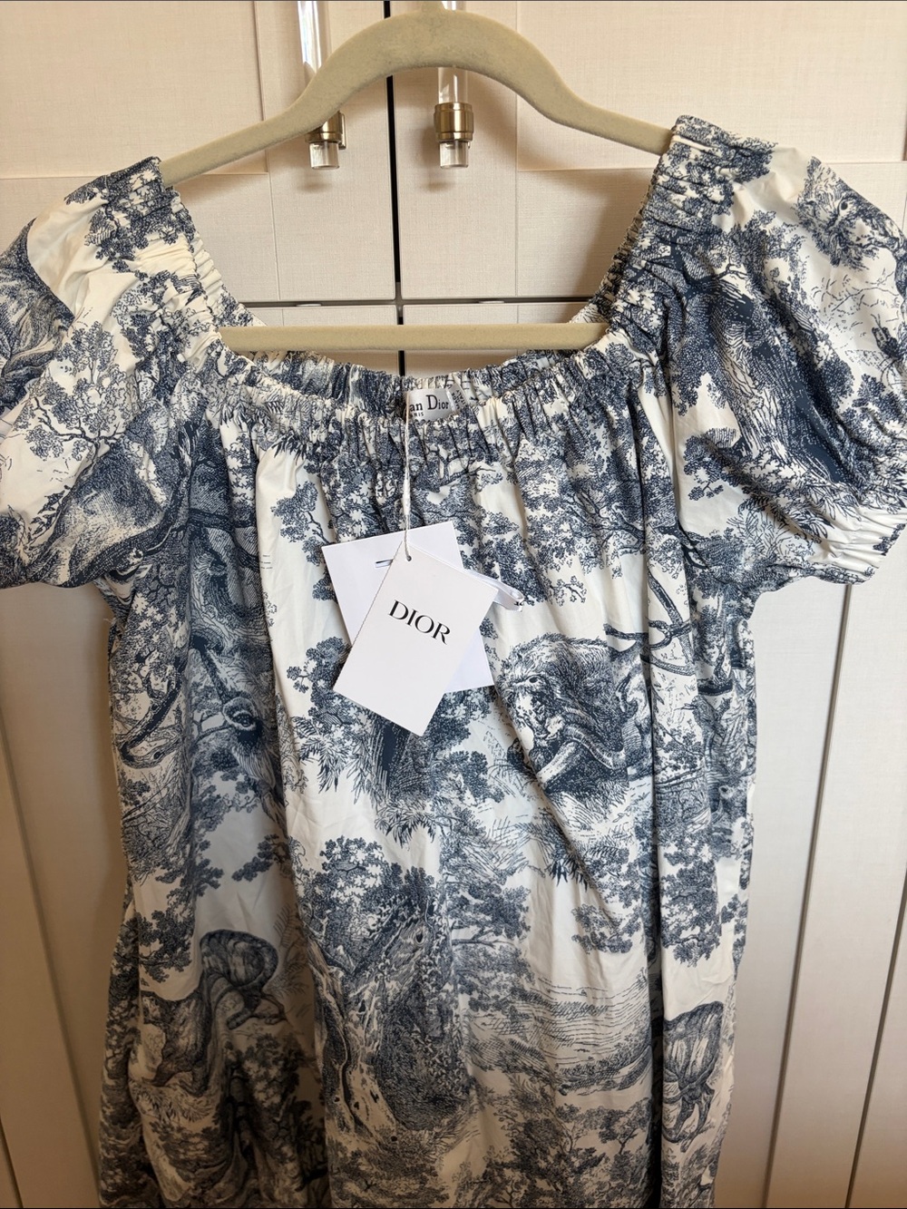 Blue and White Toile Off-Shoulder Dress